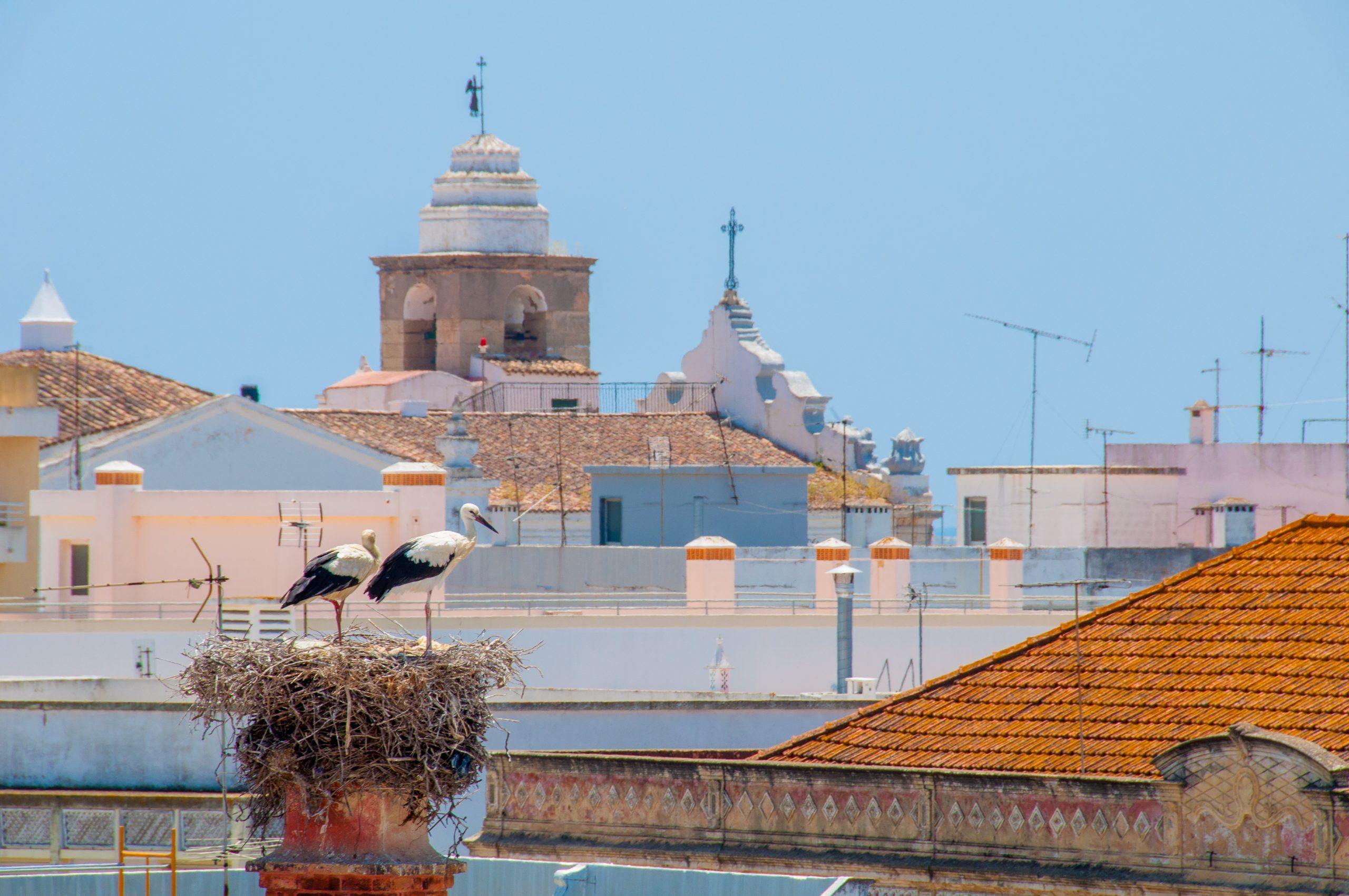 Hotel Cidade De Olhao Ngoại thất bức ảnh
